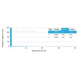 Protein Array - Anti-TFIIB Antibody [PCRP-GTF2B-1D1] (A277638) - Antibodies.com