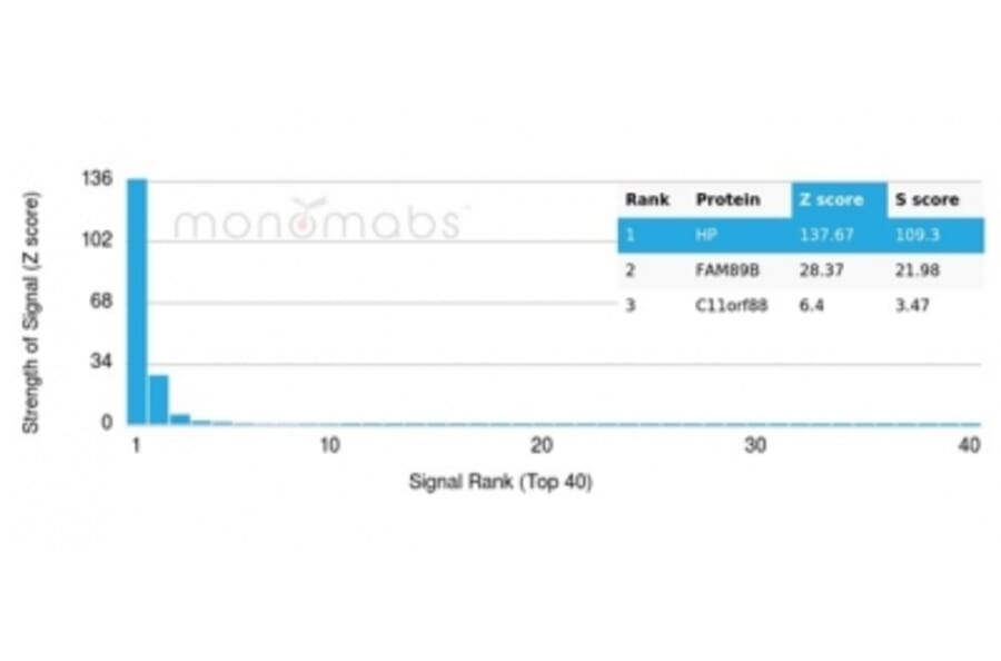 Protein Array - Anti-Haptoglobin Antibody [HP/3840] (A277645) - Antibodies.com