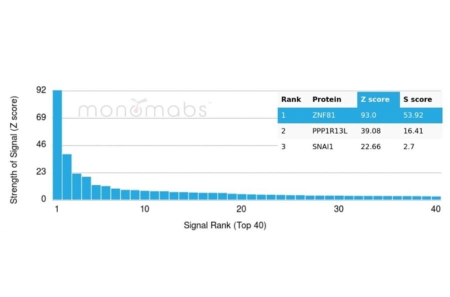 Protein Array - Anti-ZNF81 Antibody [PCRP-ZNF81-2C7] (A277656) - Antibodies.com