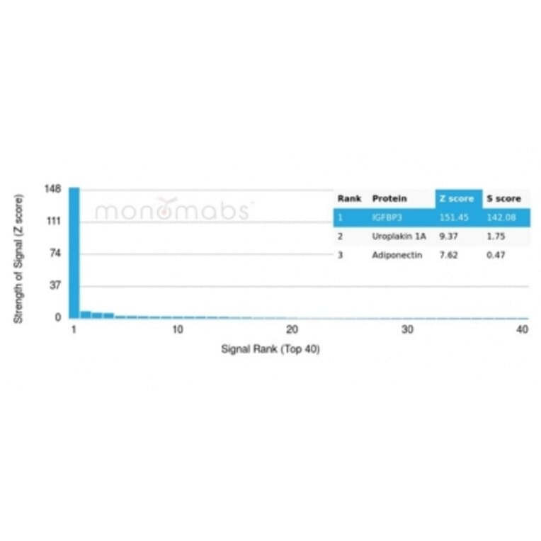 Protein Array - Anti-IGFBP3 Antibody [IGFBP3/3424] (A277660) - Antibodies.com