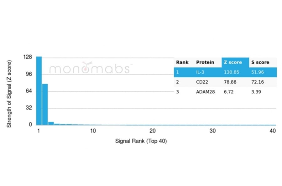 Protein Array - Anti-IL-3 Antibody [IL3/4005] (A277670) - Antibodies.com
