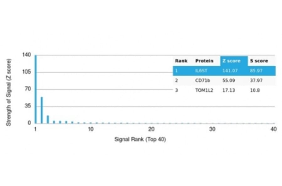 Protein Array - Anti-CD130 (gp130) Antibody [IL6ST/4101] (A277672) - Antibodies.com