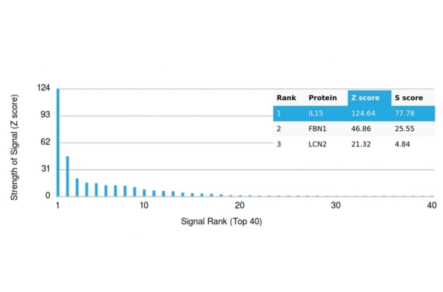 Protein Array - Anti-IL-15 Antibody [IL15/4354] (A277677) - Antibodies.com