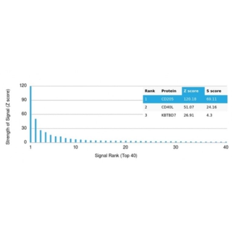 Protein Array - Anti-LY75 Antibody [CD205/3720] (A277697) - Antibodies.com