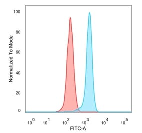 Flow Cytometry - Anti-MEF2D Antibody [PCRP-MEF2D-3A4] (A277705) - Antibodies.com