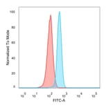 Flow Cytometry - Anti-MiTF Antibody [PCRP-MITF-1D9] (A277710) - Antibodies.com