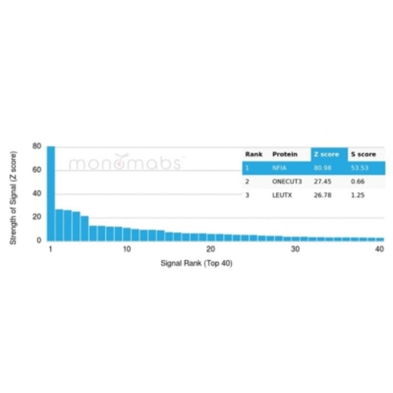 Protein Array - Anti-NFIA Antibody [PCRP-NFIA-2C6] (A277724) - Antibodies.com