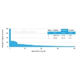 Protein Array - Anti-NFIA Antibody [PCRP-NFIA-2C6] (A277724) - Antibodies.com
