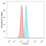 Flow Cytometry - Anti-NeuroG3 Antibody [PCRP-NEUROG3-1E10] (A277730) - Antibodies.com