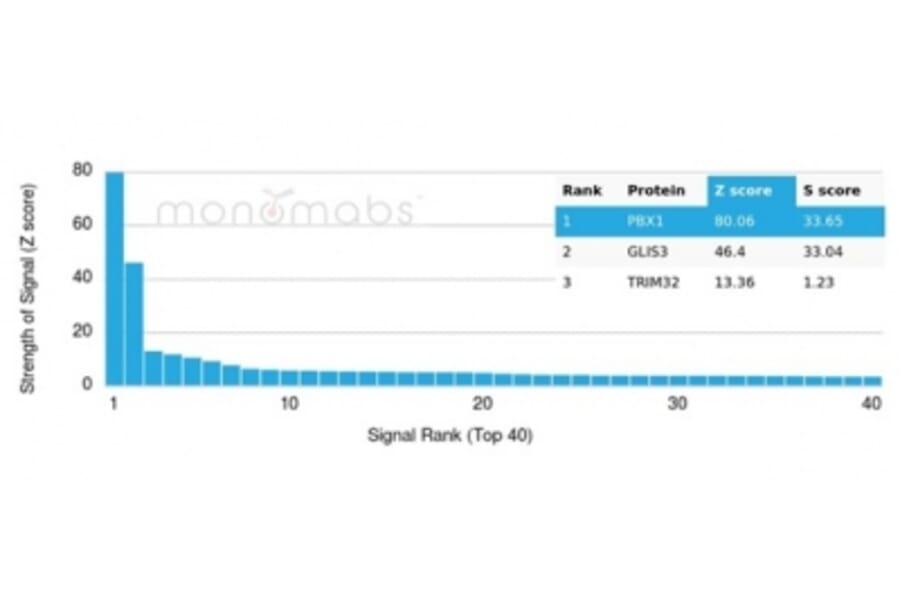 Protein Array - Anti-PBX1 Antibody [PCRP-PBX1-3C8] (A277732) - Antibodies.com