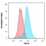 Flow Cytometry - Anti-CD31 Antibody [PECAM1/3534] (A277740) - Antibodies.com