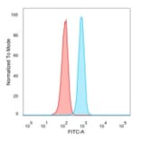 Flow Cytometry - Anti-BCL11A Antibody [PCRP-BCL11A-1H3] (A277751) - Antibodies.com