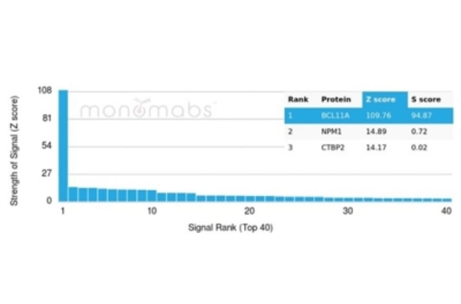 Protein Array - Anti-BCL11A Antibody [PCRP-BCL11A-1H3] (A277751) - Antibodies.com