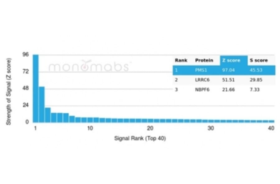 Protein Array - Anti-PMS1 Antibody [PCRP-PMS1-2E11] (A277752) - Antibodies.com