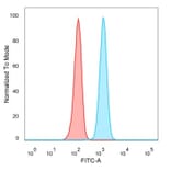 Flow Cytometry - Anti-ZNF562 Antibody [PCRP-ZNF562-1A1] (A277759) - Antibodies.com