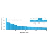 Protein Array - Anti-PHF10 Antibody [PCRP-PHF10-2A10] (A277762) - Antibodies.com