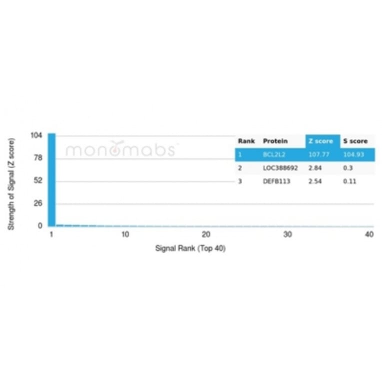 Protein Array - Anti-Bcl2L2 Antibody [PCRP-BCL2L2-1A4] (A277772) - Antibodies.com