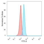 Flow Cytometry - Anti-ZNF704 Antibody [PCRP-ZNF704-3C10] (A277778) - Antibodies.com