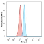 Flow Cytometry - Anti-RXRG Antibody [PCRP-RXRG-5G6] (A277779) - Antibodies.com