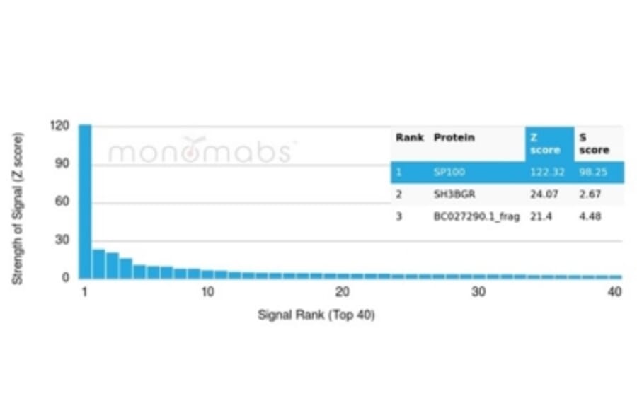 Protein Array - Anti-SP100 Antibody [PCRP-SP100-1B9] (A277802) - Antibodies.com