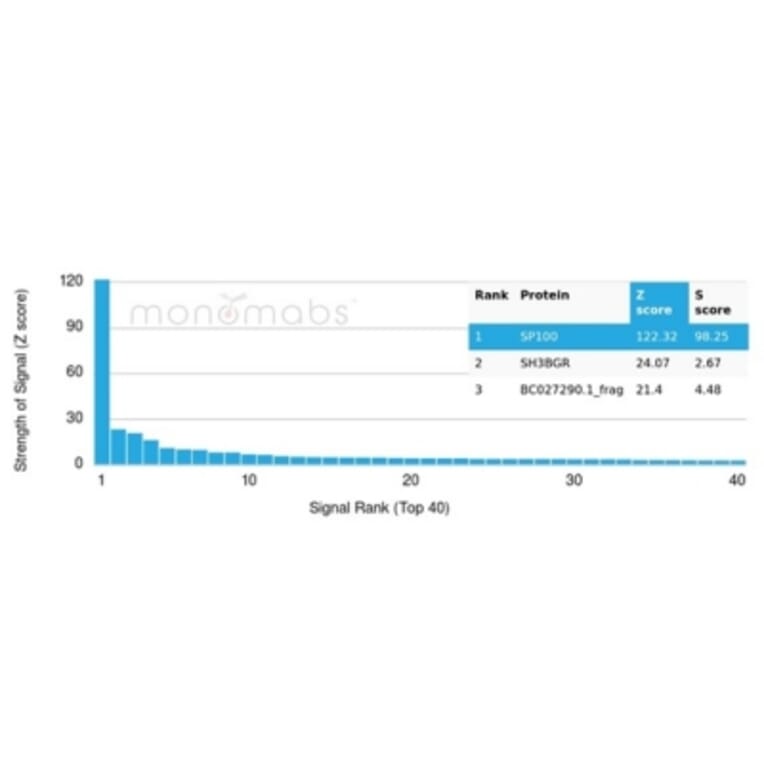 Protein Array - Anti-SP100 Antibody [PCRP-SP100-1B9] (A277802) - Antibodies.com