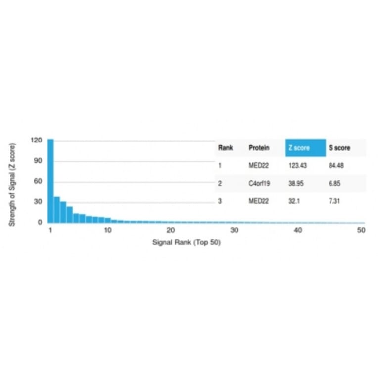 Protein Array - Anti-MED22 Antibody [PCRP-MED22-2A7] (A277817) - Antibodies.com