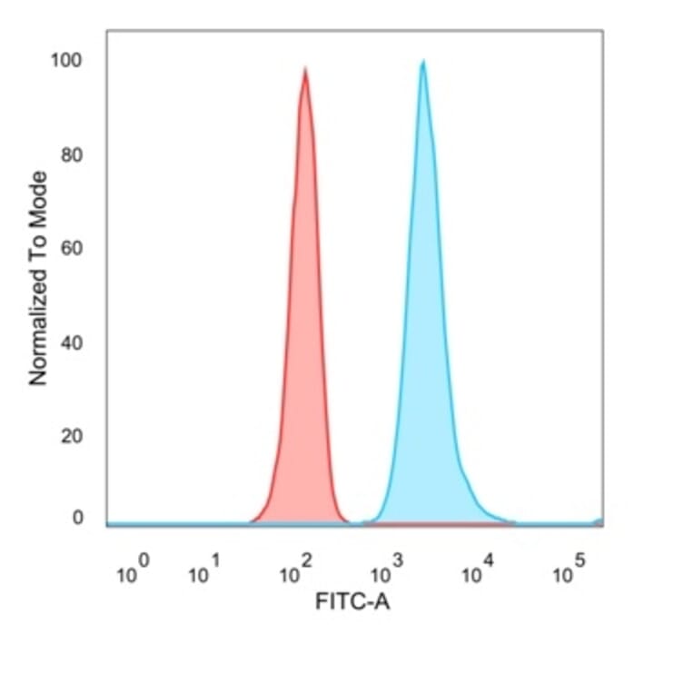 Immunofluorescence - Anti-NOC4L Antibody [PCRP-NOC4L-1B2] (A277828) - Antibodies.com