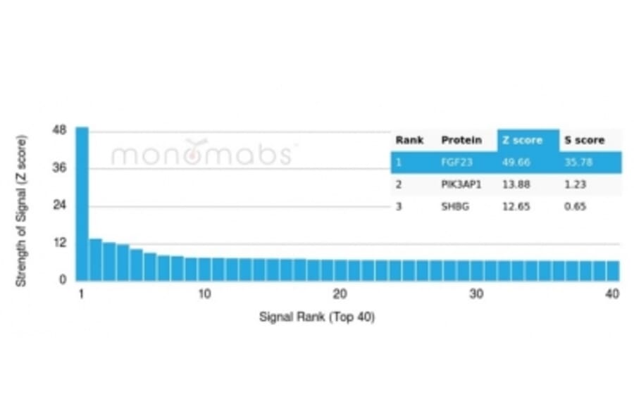 Protein Array - Anti-FGF23 Antibody [FGF23/4174] (A277831) - Antibodies.com
