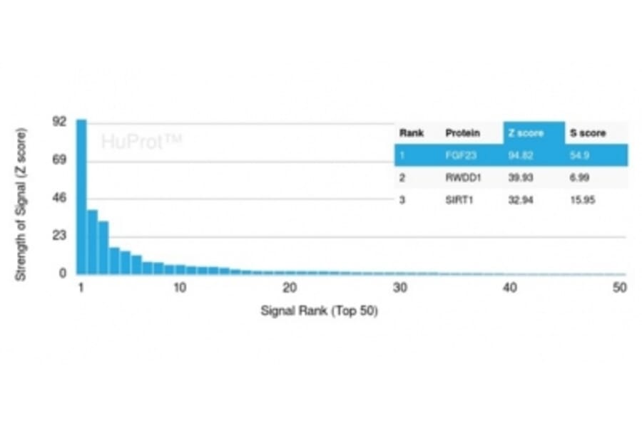 Protein Array - Anti-FGF23 Antibody [FGF23/4169] (A277832) - Antibodies.com