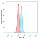 Flow Cytometry - Anti-CBFB Antibody [PCRP-CBFB-1F6] (A277836) - Antibodies.com