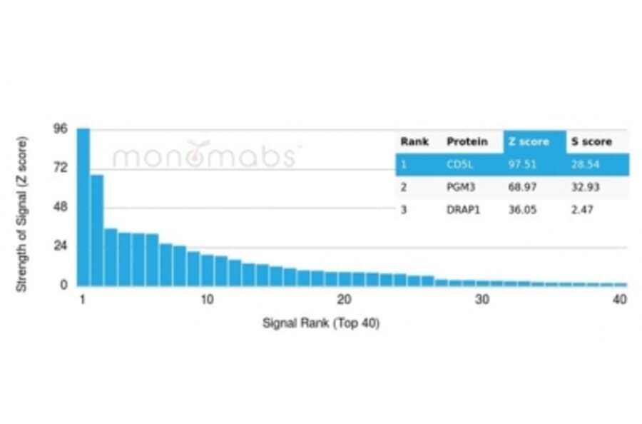 Protein Array - Anti-CD5L Antibody [CD5L/4420] (A277843) - Antibodies.com