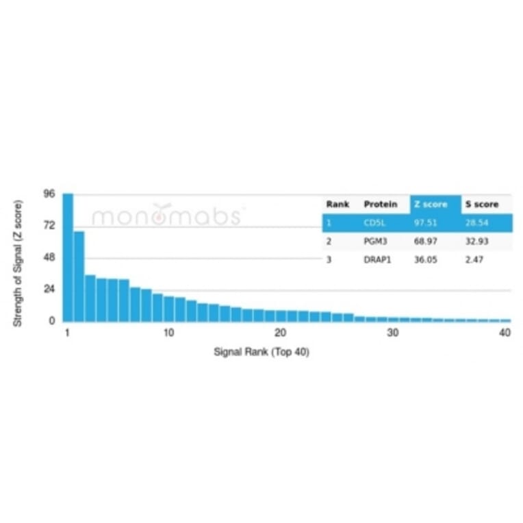 Protein Array - Anti-CD5L Antibody [CD5L/4420] (A277843) - Antibodies.com