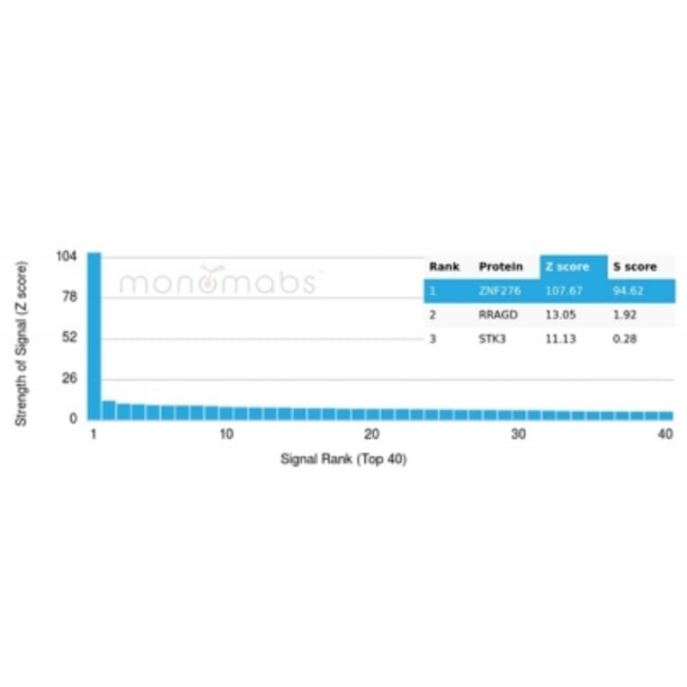 Protein Array - Anti-ZNF276 Antibody [PCRP-ZNF276-1A5] (A277845) - Antibodies.com
