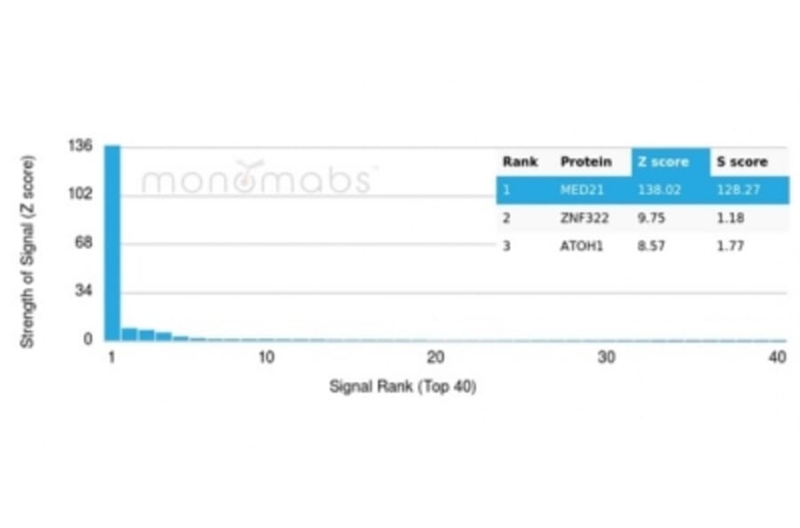 Protein Array - Anti-MED21 Antibody [PCRP-MED21-4B5] (A277849) - Antibodies.com