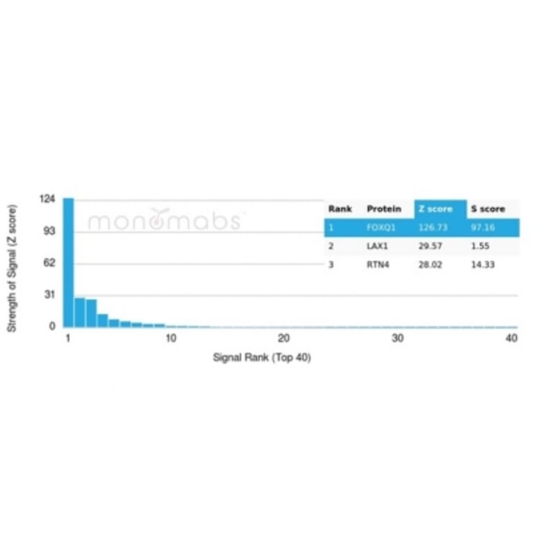 Protein Array - Anti-FOXQ1 Antibody [PCRP-FOXQ1-2D2] (A277850) - Antibodies.com