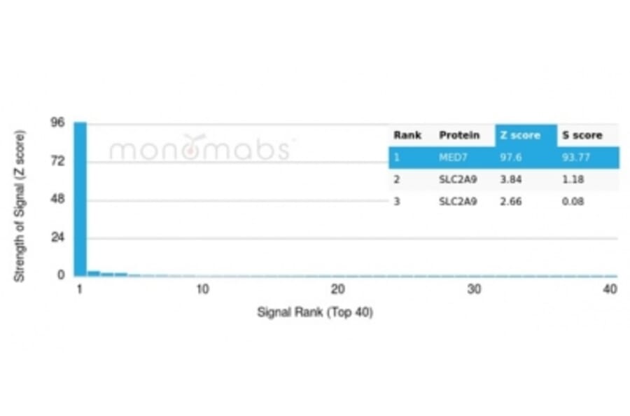 Protein Array - Anti-MED7 Antibody [PCRP-MED7-1B8] (A277851) - Antibodies.com