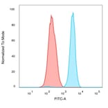 Flow Cytometry - Anti-QKI Antibody [PCRP-QKI-2F10] (A277852) - Antibodies.com