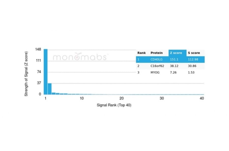 Protein Array - Anti-CD40L Antibody [CD40LG/4675] (A277856) - Antibodies.com