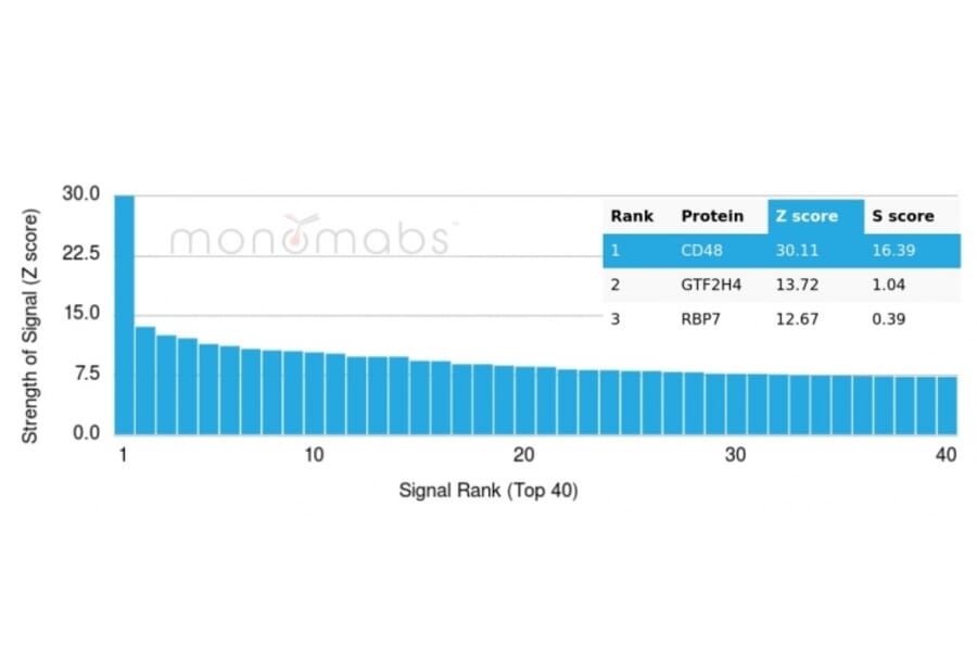 Protein Array - Anti-CD48 Antibody [CD48/4784] (A277858) - Antibodies.com