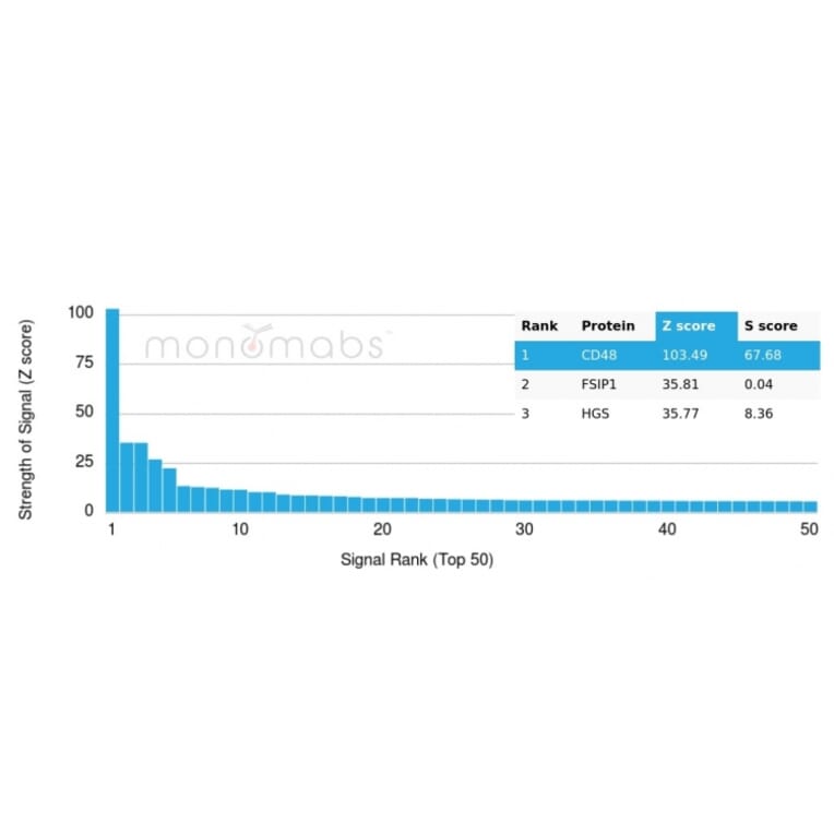 Protein Array - Anti-CD48 Antibody [CD48/4786] (A277860) - Antibodies.com