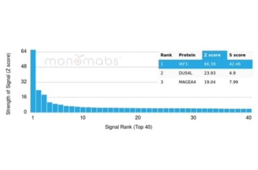 Protein Array - Anti-IRF3 Antibody [PCRP-IRF3-3B2] (A277870) - Antibodies.com