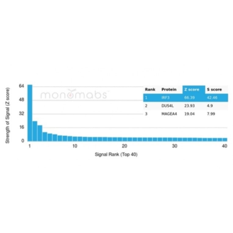 Protein Array - Anti-IRF3 Antibody [PCRP-IRF3-3B2] (A277870) - Antibodies.com