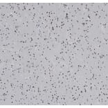 Immunohistochemistry - Anti-OLIG2 Antibody [OLIG2/6695R] (A277950) - Antibodies.com