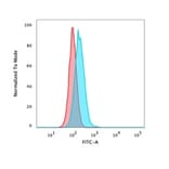Flow Cytometry - Anti-p40 Antibody [P40/4396R] (A278083) - Antibodies.com