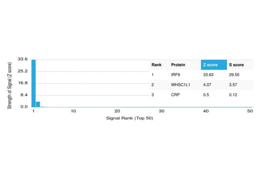 Protein Array - Anti-IRF9 Antibody [PCRP-IRF9-2F8] - BSA and Azide free (A278117) - Antibodies.com