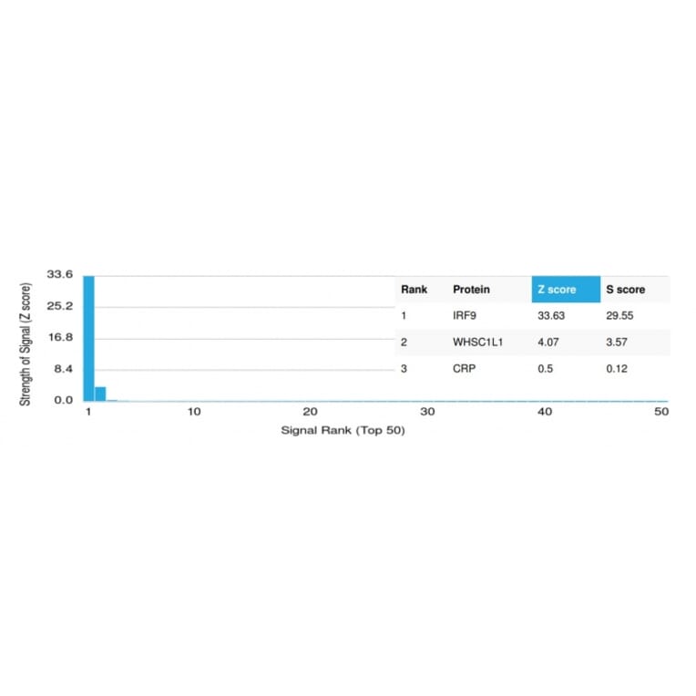 Protein Array - Anti-IRF9 Antibody [PCRP-IRF9-2F8] - BSA and Azide free (A278117) - Antibodies.com