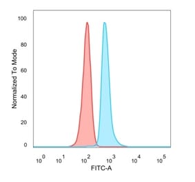 Flow Cytometry - Anti-DMRT2 Antibody [PCRP-DMRT2-1B11] - BSA and Azide free (A278120) - Antibodies.com