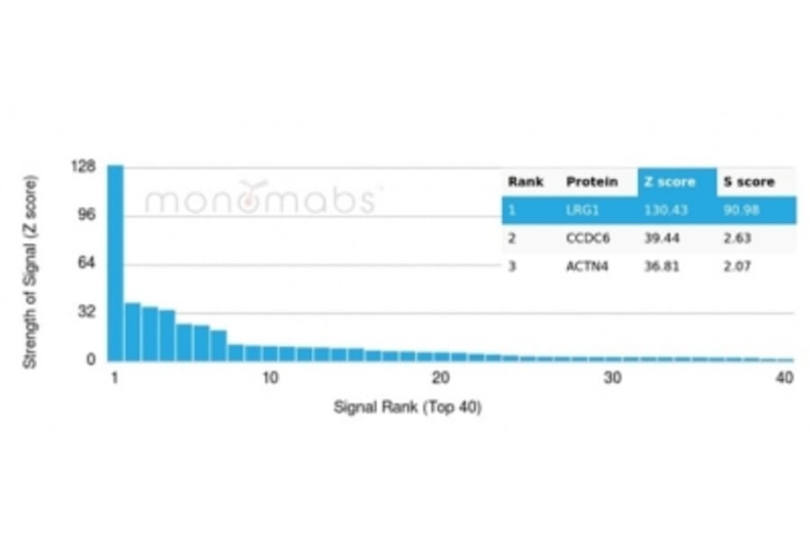 Protein Array - Anti-LRG1 Antibody [LRG1/4883] - BSA and Azide free (A278133) - Antibodies.com