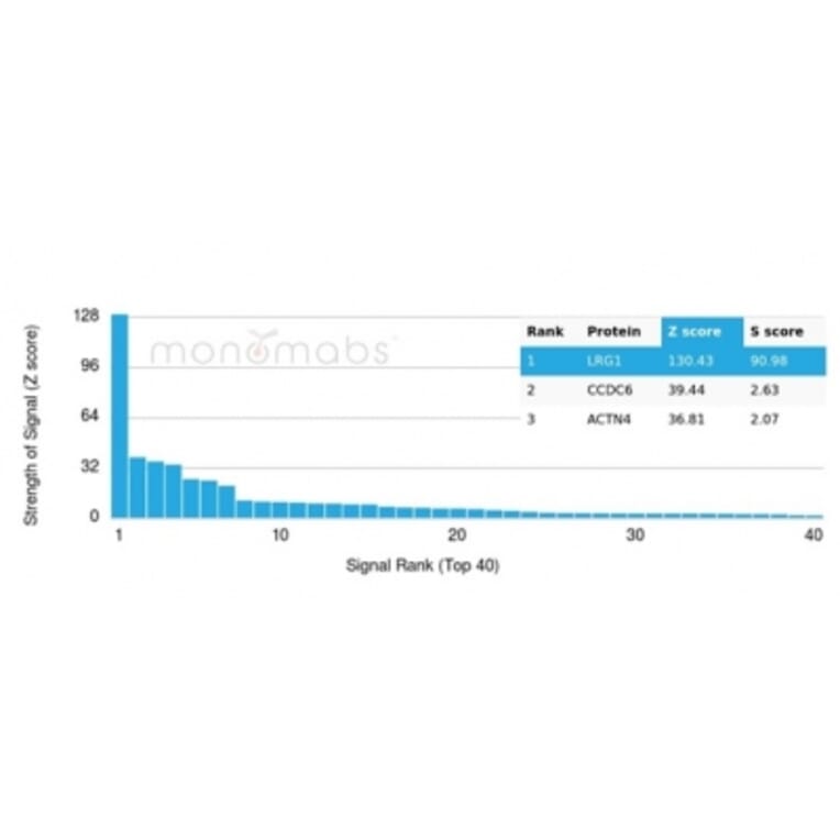 Protein Array - Anti-LRG1 Antibody [LRG1/4883] - BSA and Azide free (A278133) - Antibodies.com