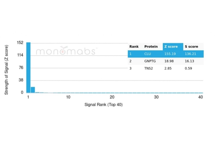 Protein Array - Anti-Clusterin Antibody [CLU/4731] - BSA and Azide free (A278136) - Antibodies.com